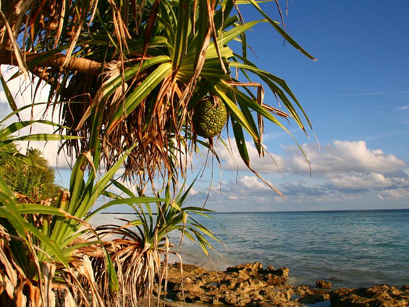 Kuramathi (207).jpg